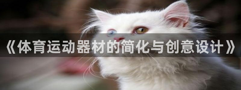 欧亿体育官方正版app代理：《体育运动器材的简化与创