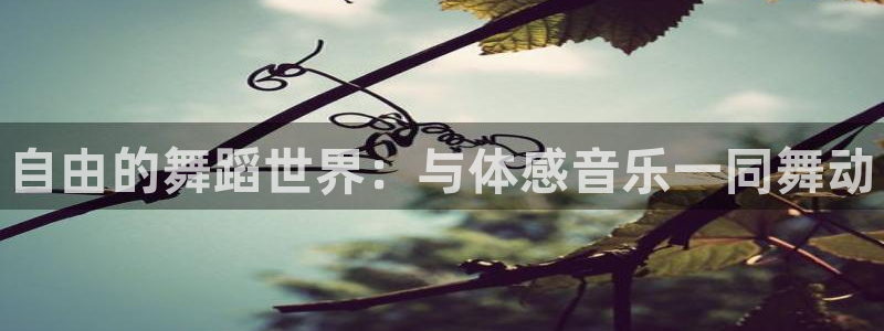 oety欧亿体育官网下载软件：自由的舞蹈世界：与体感音乐一同