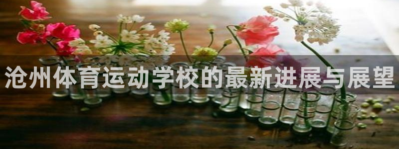 oety欧亿体育官网下载招商电话地址：沧州体育运动学校的最新