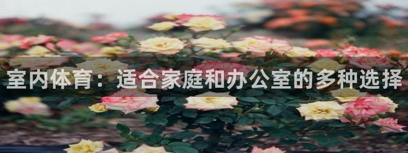 oety欧亿体育官网下载招商电话地址是多少：室内体育：适合家