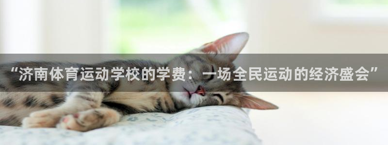 oety欧亿体育官网下载平台注册要钱吗安全吗：“济南