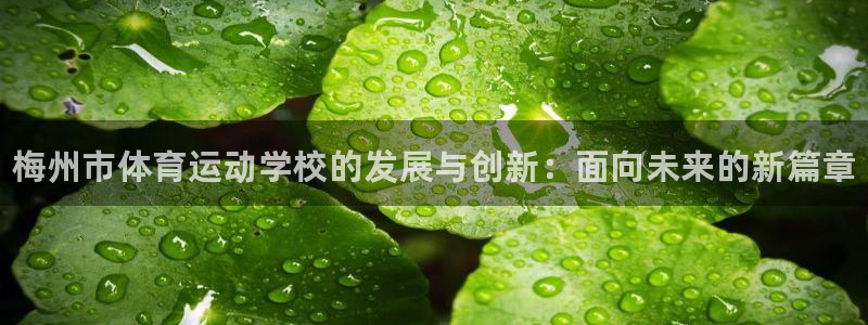 oety欧亿体育官网下载平台是正规平台吗知乎：梅州市体育运动