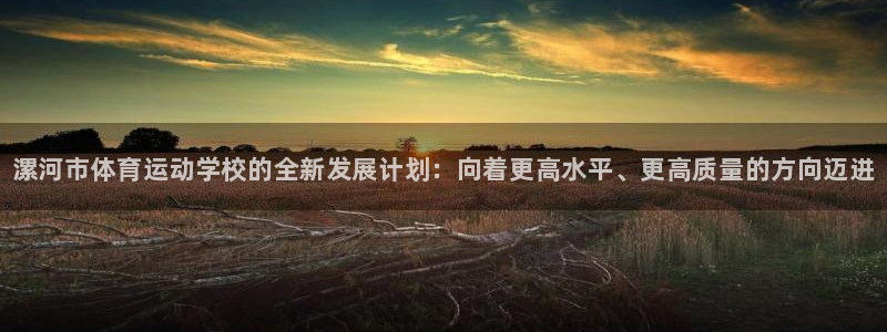 oety欧亿体育官网下载平台注册流程视频：漯河市体育运动学校