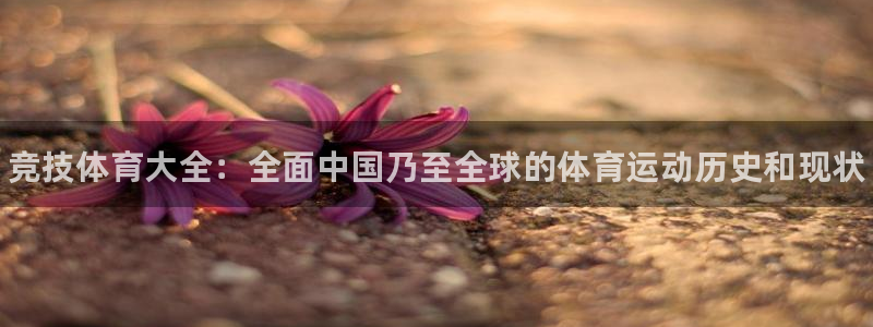 欧亿体育官方正版app娱乐