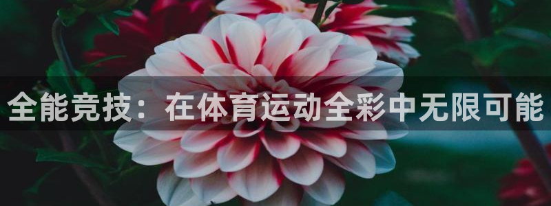 欧亿体育官方集团官网