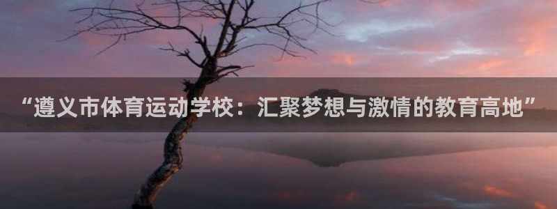 oety欧亿体育官网下载平台APP：“遵义市体育运动学校：汇