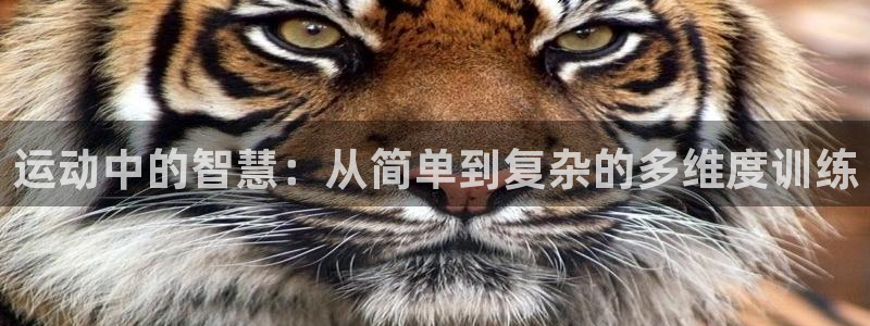 注册欧亿体育官方正版app：运动中的智慧：从简单到复