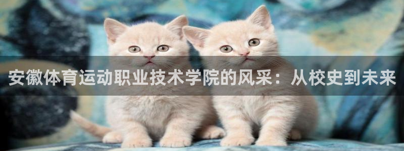 欧亿体育官方正版app娱乐代理怎么样：安徽体育运动职