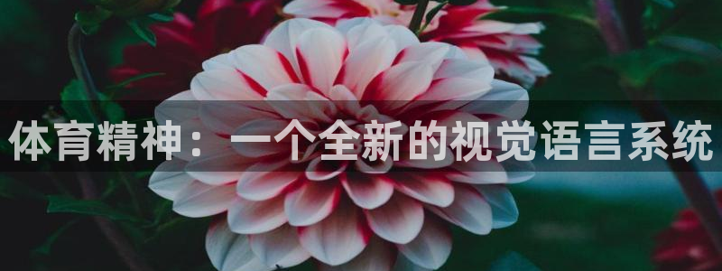 欧亿体育官方集团官网：体育精神：一个全新的视觉语言系