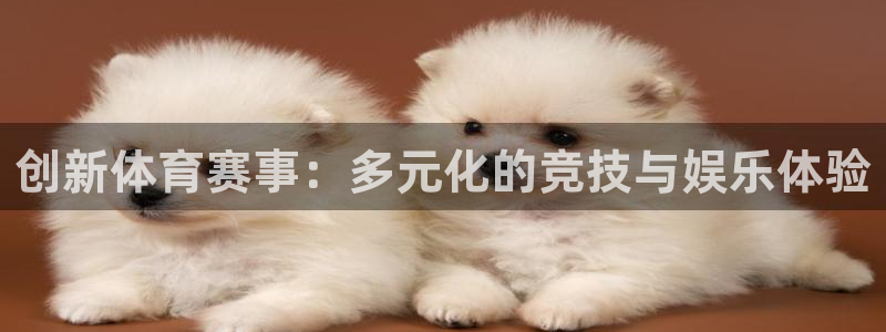oety欧亿体育官网下载注册：创新体育赛事：多元化的竞技与娱
