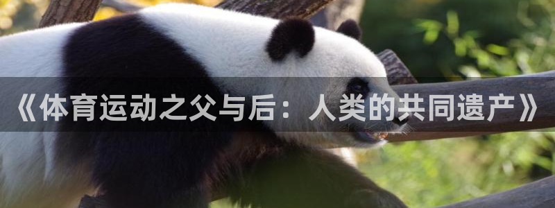 oety欧亿体育官网下载娱乐：《体育运动之父与后：人类的共同