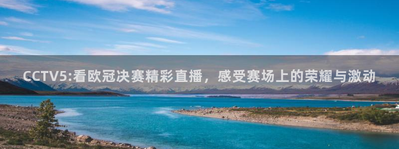 88看球吧直播：CCTV5:看欧冠决赛精彩直播，感受赛场上的荣耀与激动