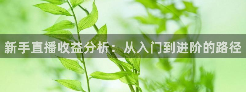 看球吧在线观看免费直播：新手直播收益分析：从入门到进阶的路径