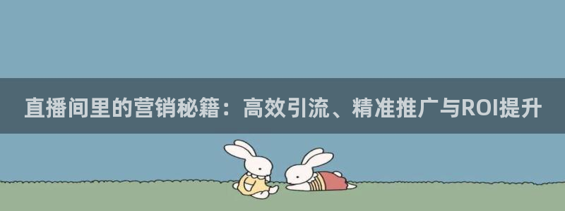 24直播吧 看球吧：直播间里的营销秘籍：高效引流、精准推广与ROI提升